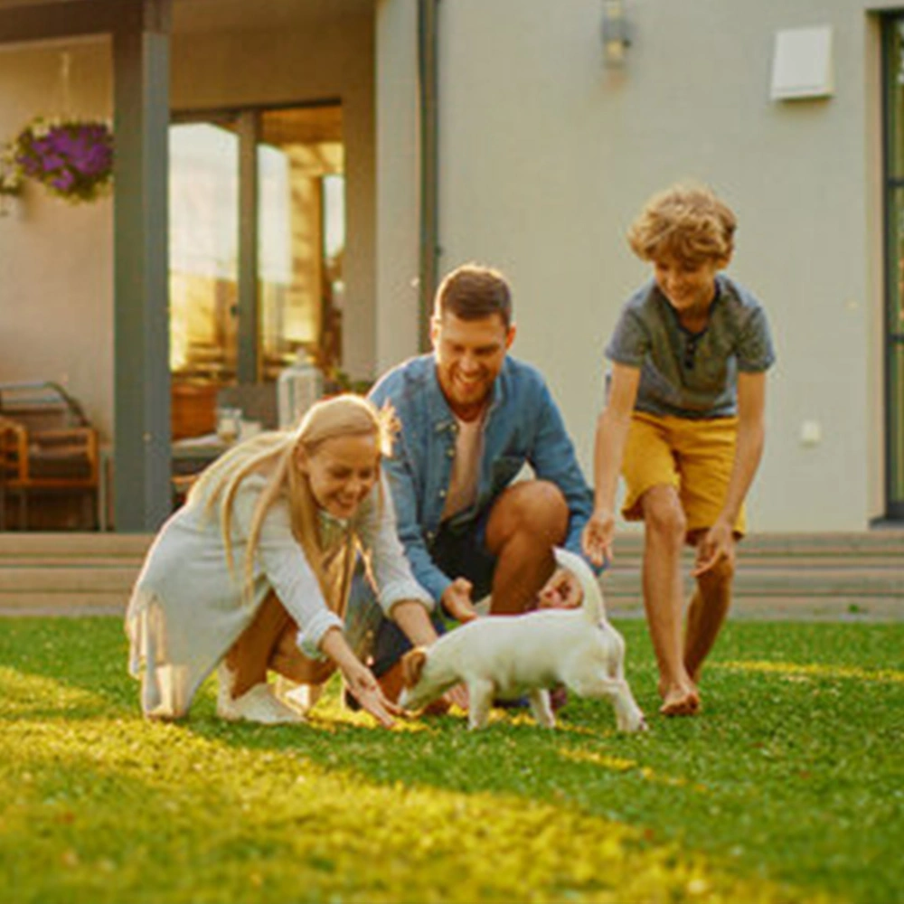 Family with a woman, man, and boy playing with a small white dog on a green lawn outside their house.