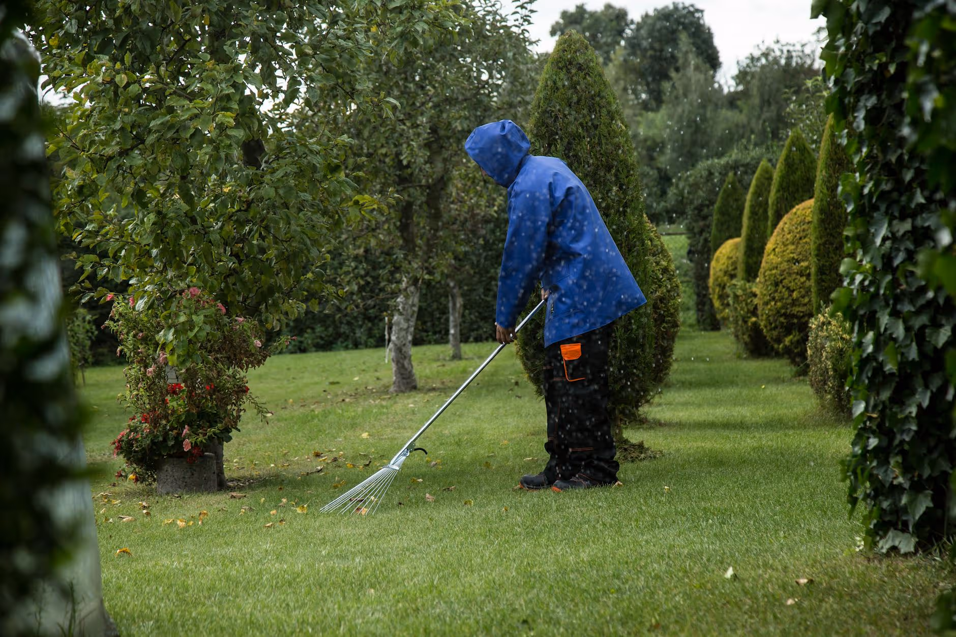 Laubentfernung im Herbst – Astrein GmbH Münster