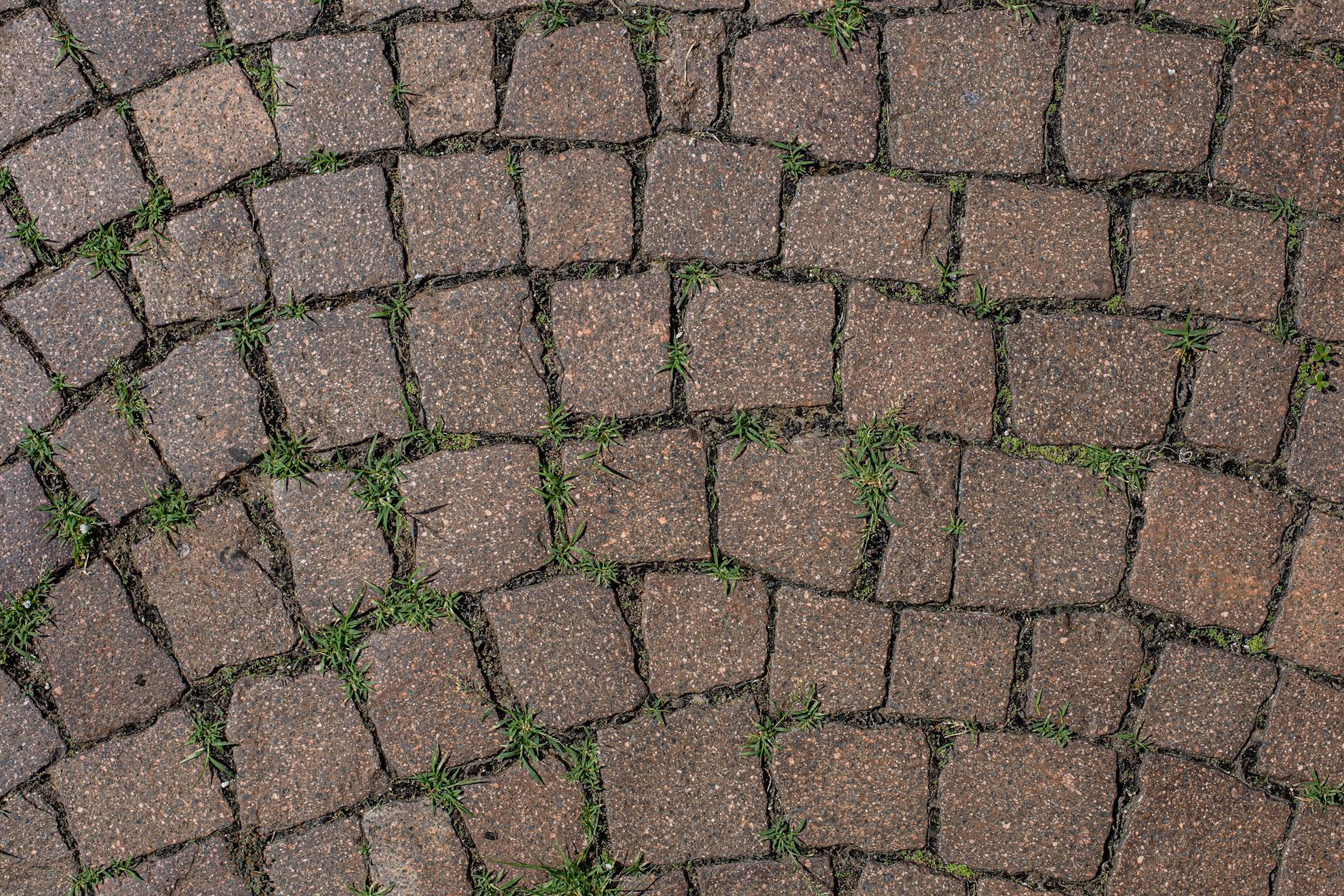 Pflasterarbeiten für Wege und Einfahrten – Astrein GmbH Münster