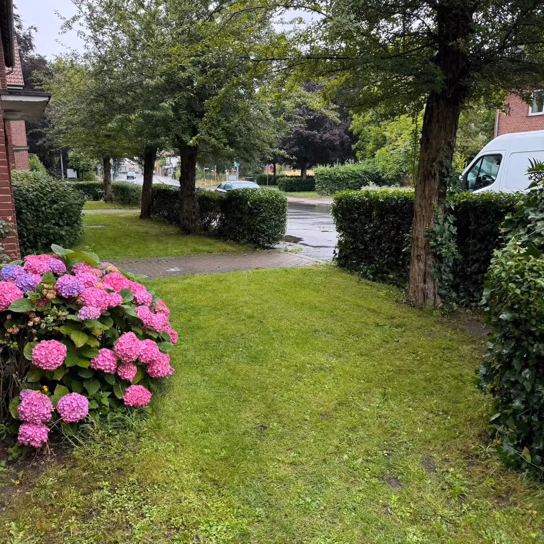Heckenschnitt in Sendenhorst – Astrein GmbH Münster