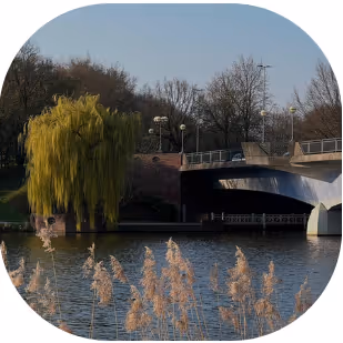 Peaceful lakeside view at the Aasee in Münster, a favorite place for students to relax and enjoy the outdoors.