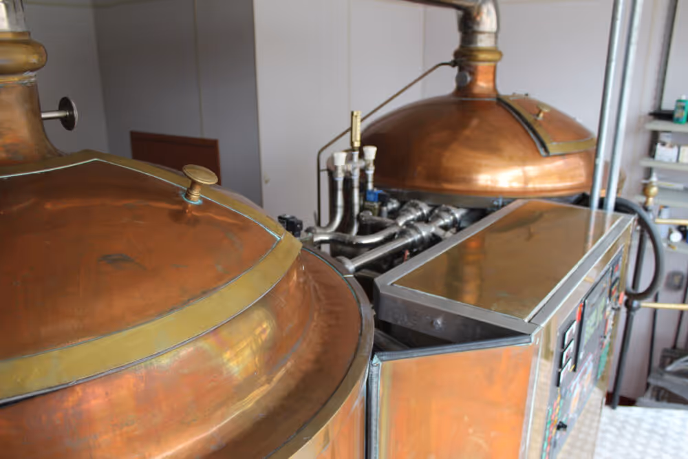 Einfach Brewing 2009