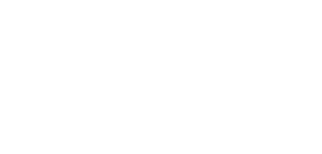 Image of the Subset Switzerland Logo