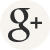 Google Plus social media icon with gray lowercase g and plus sign