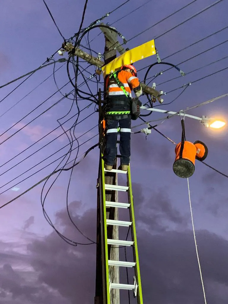 Electrician on electric post