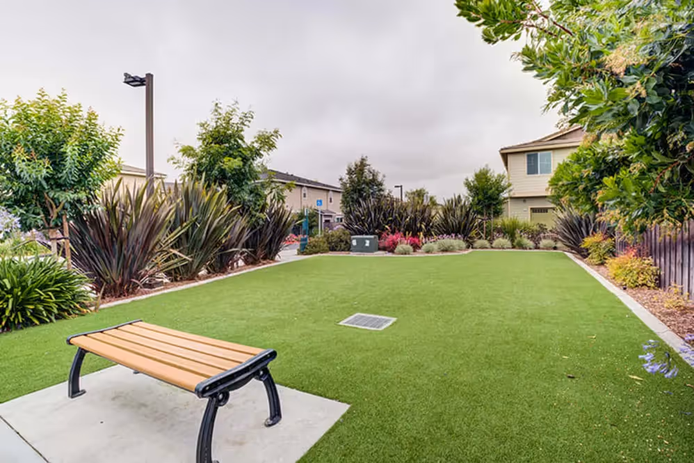 Grassy area outdoors with a bench