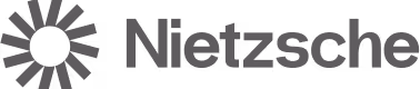 Nietzsche company logo
