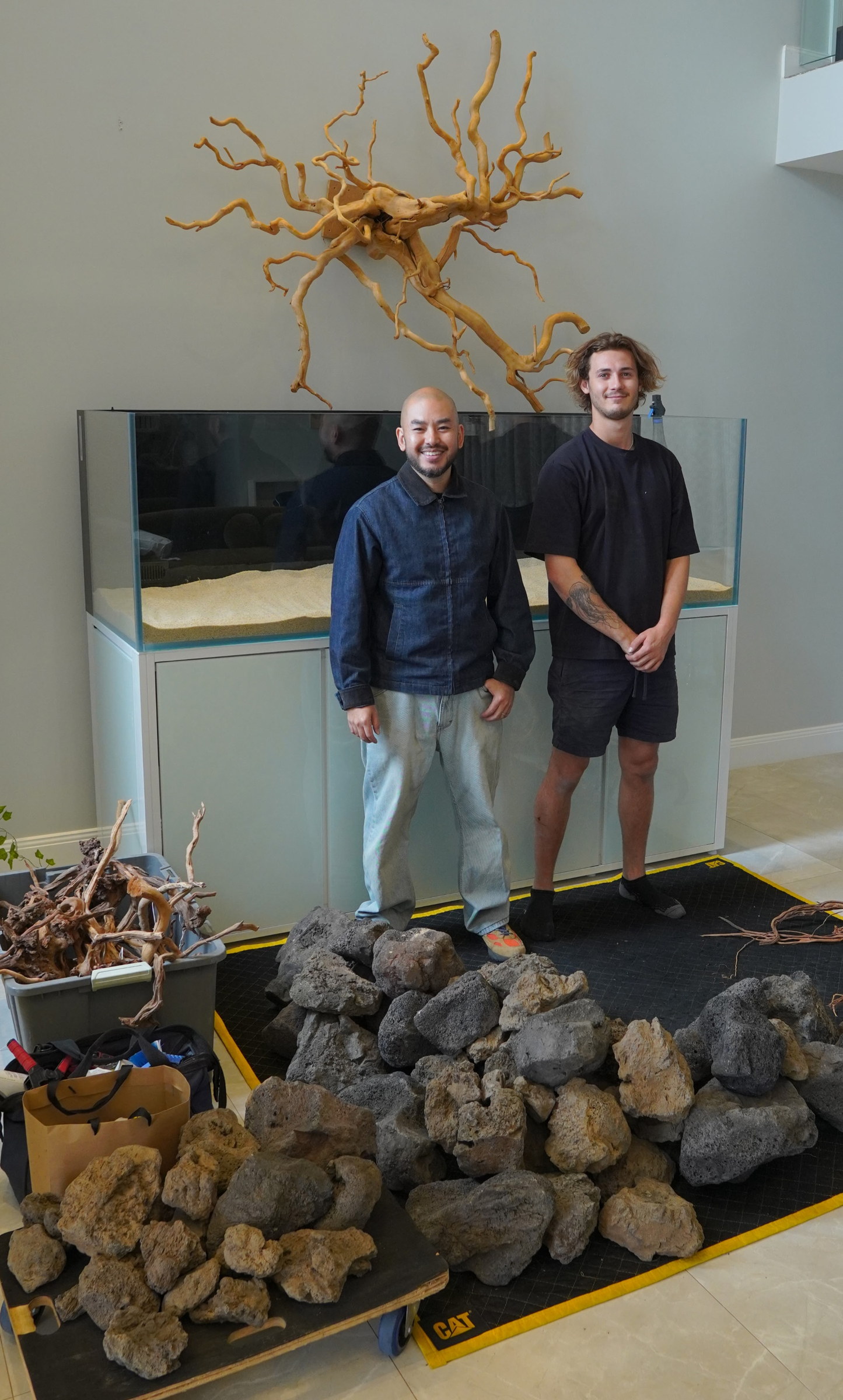 Driftwood aquarium