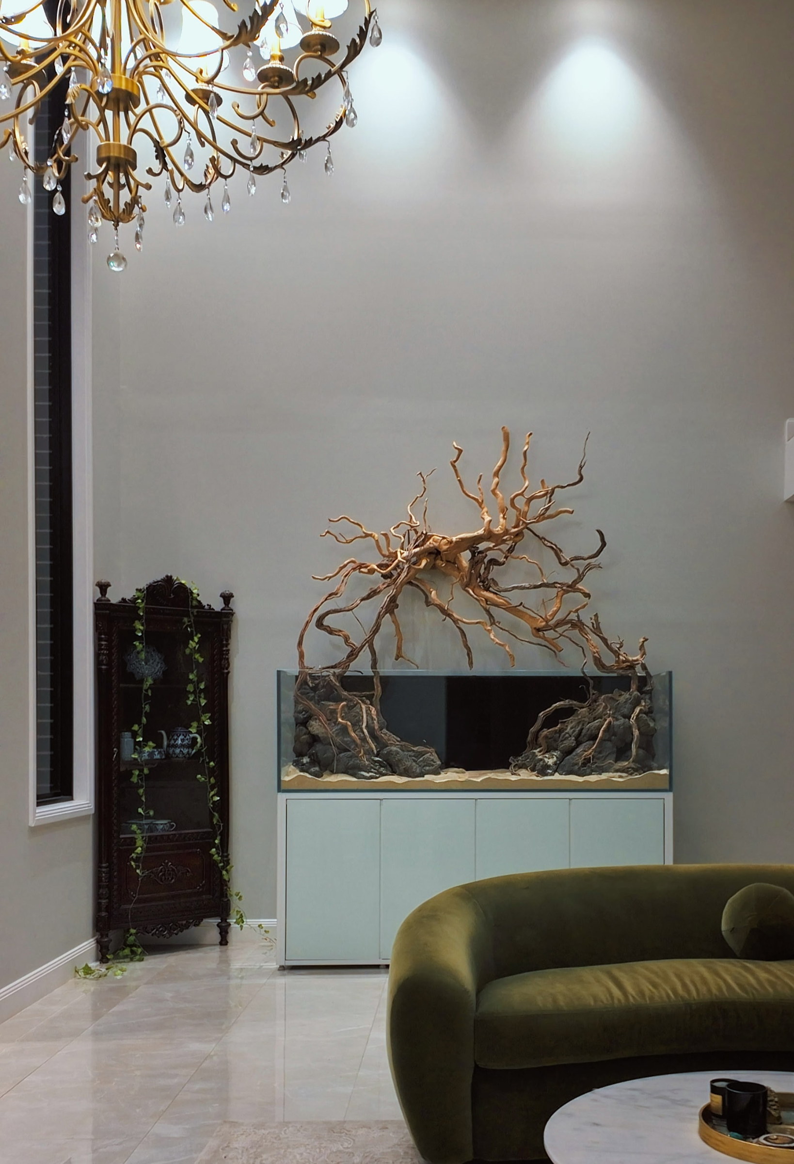 Driftwood aquarium