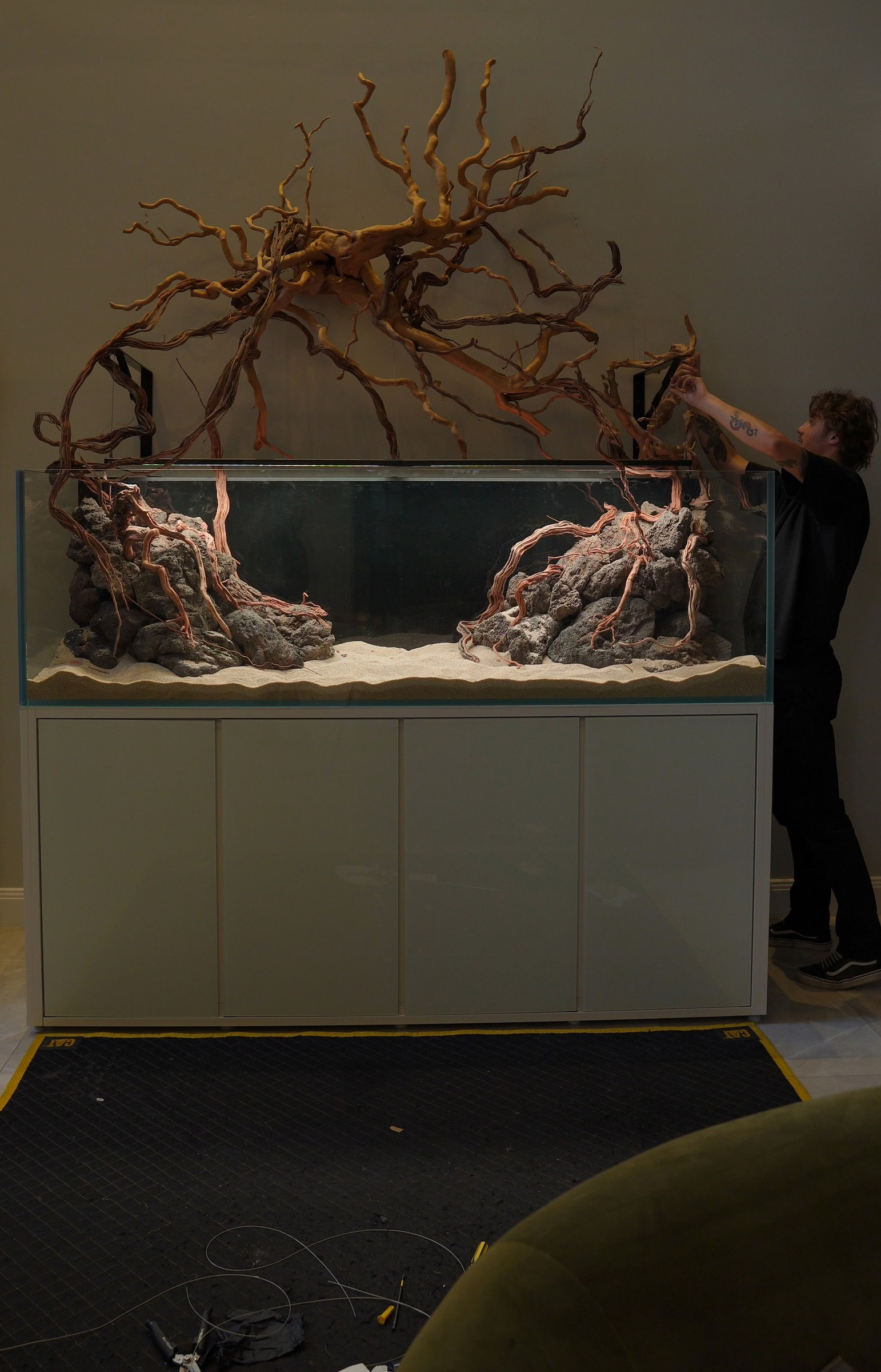 Driftwood aquarium