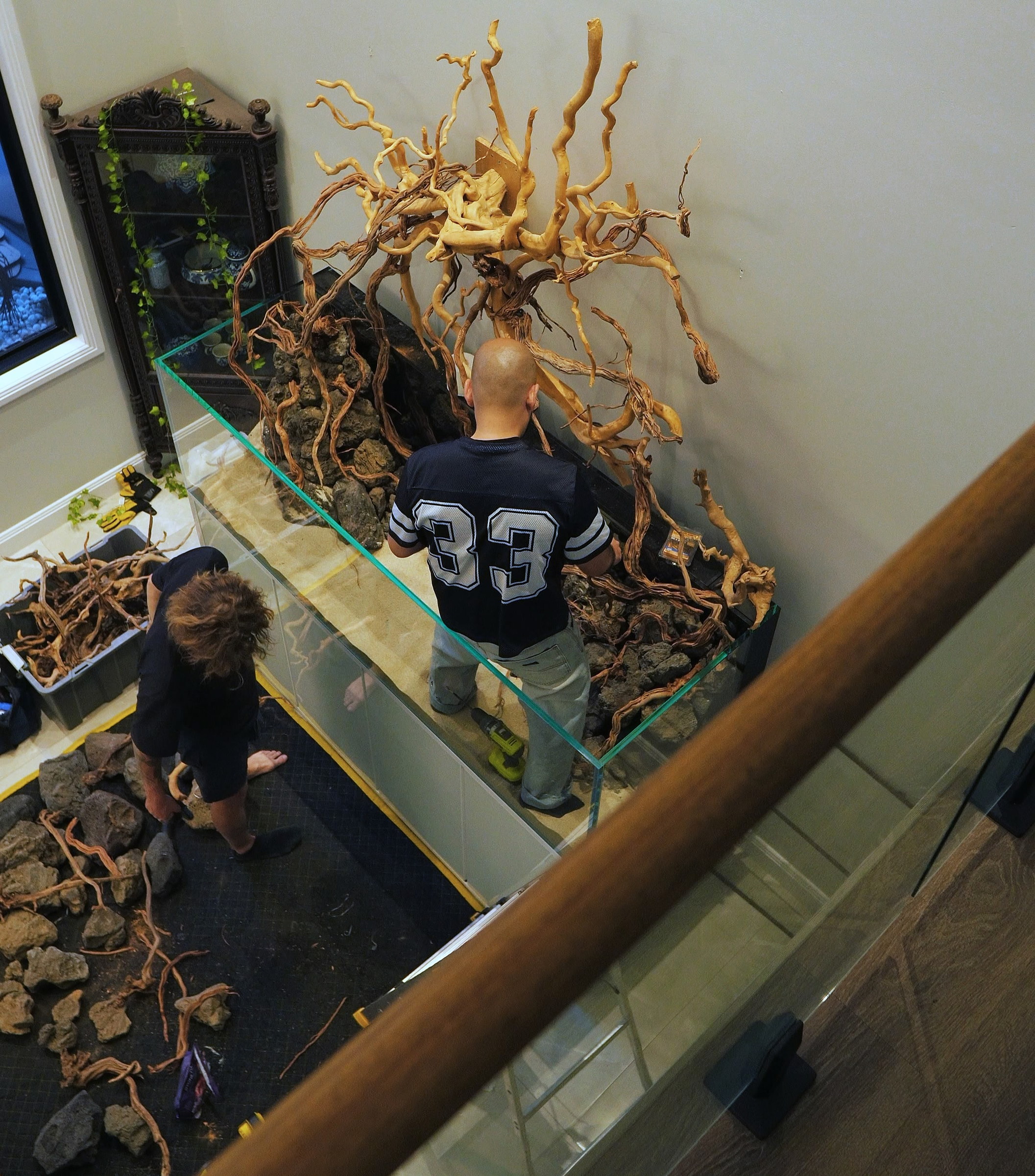 Driftwood aquarium