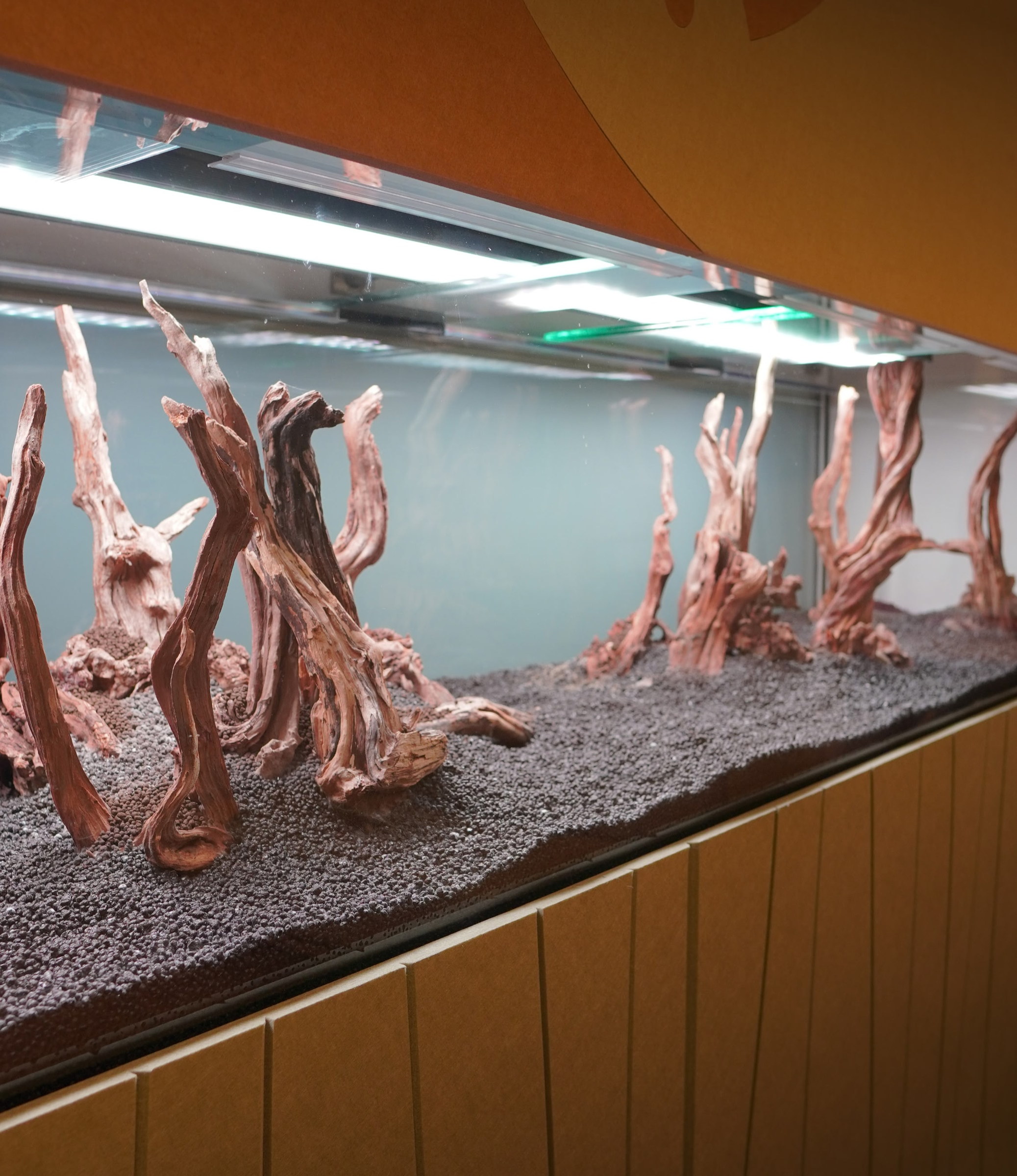 Paediatric clinic aquarium