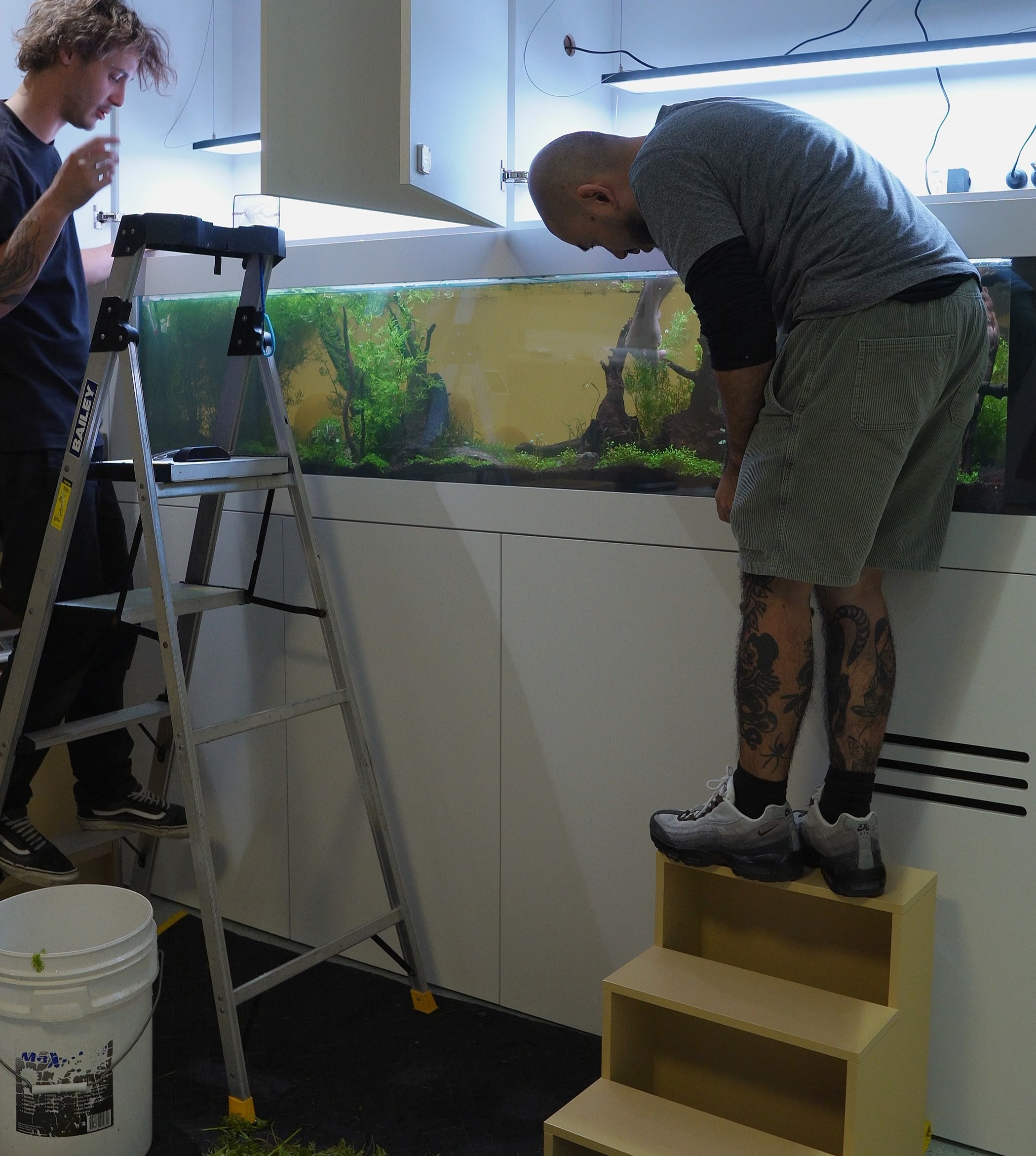 Paediatric clinic aquarium