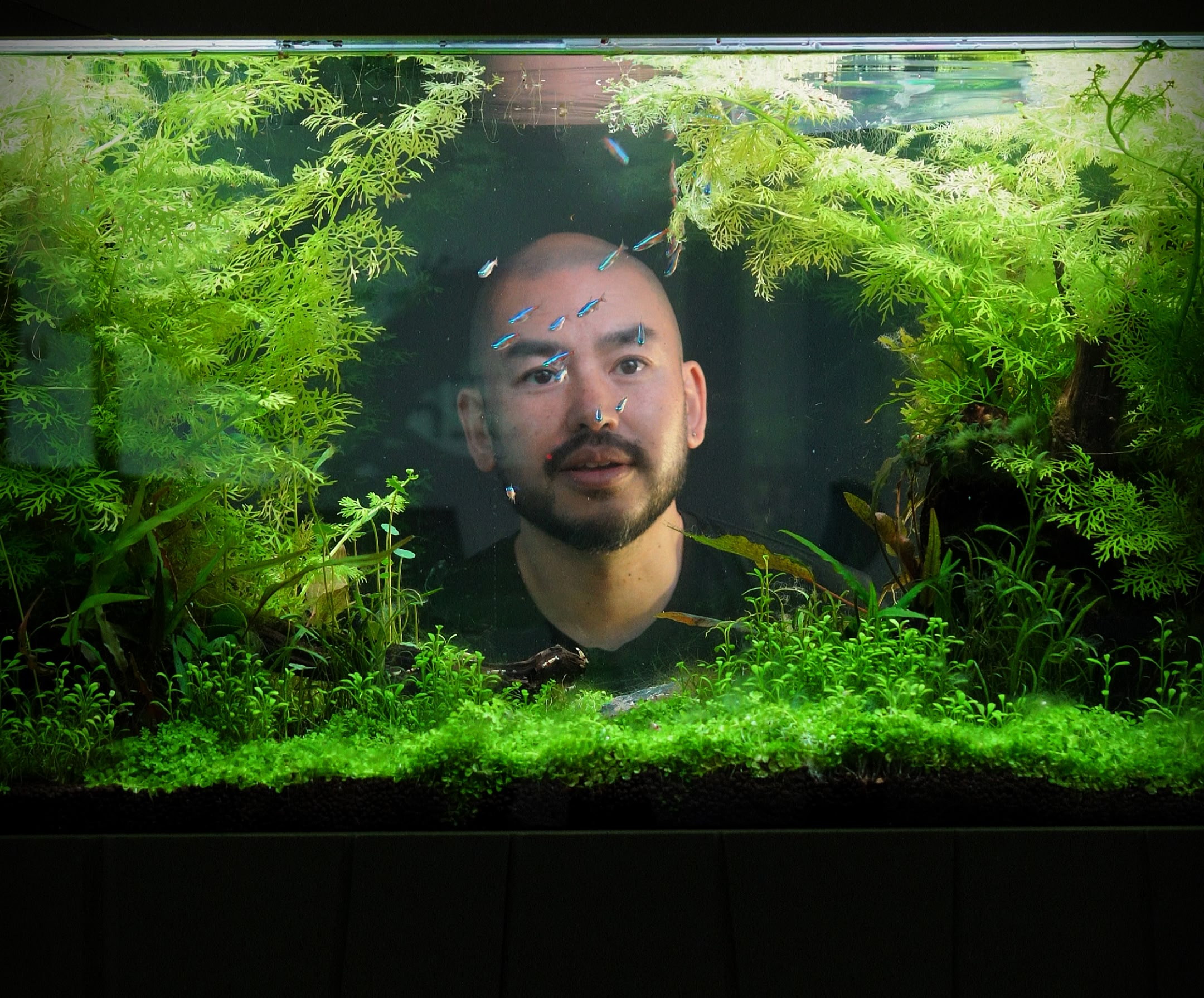 Paediatric clinic aquarium