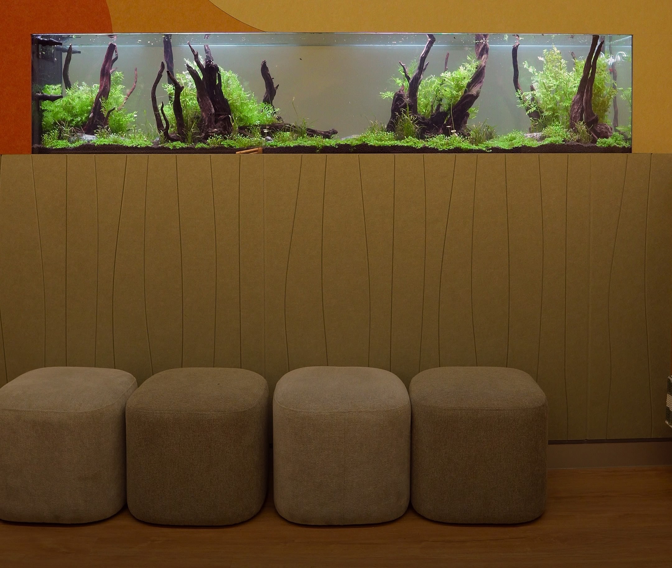 Paediatric clinic aquarium