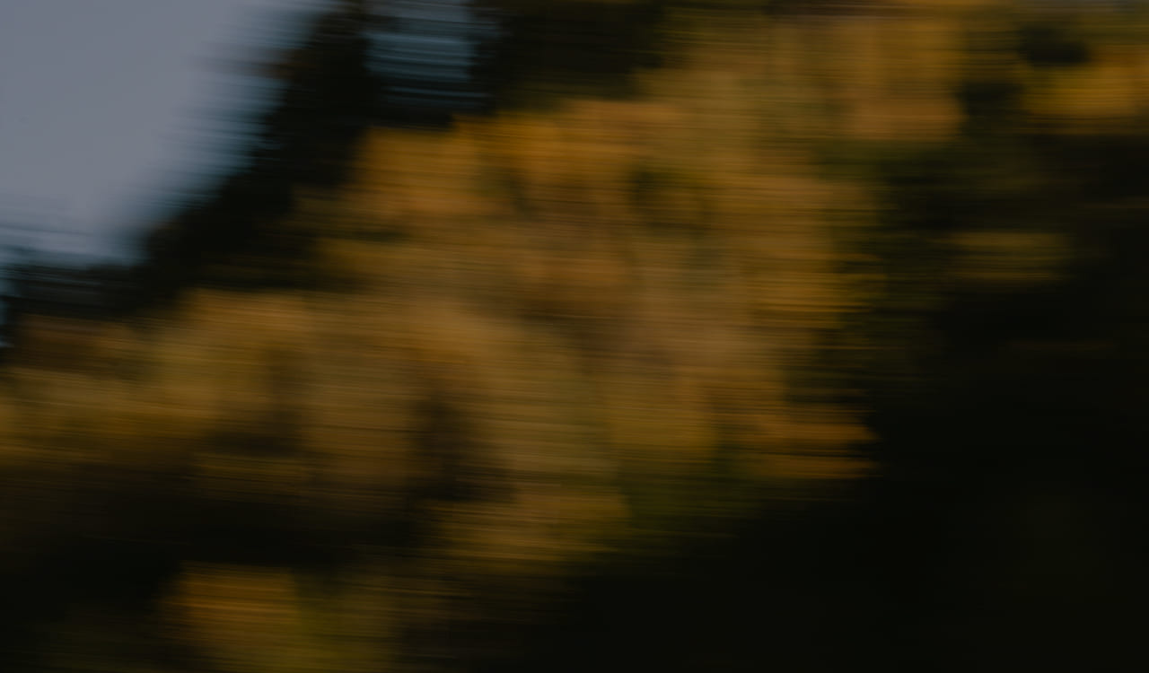 Blurred image of trees with autumn-colored leaves.