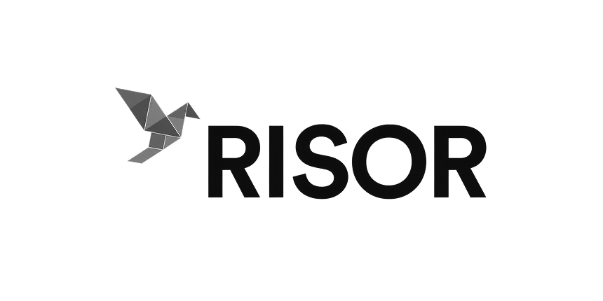 Logo mit origamiähnlichem Vogel links und dem Text RISOR rechts.