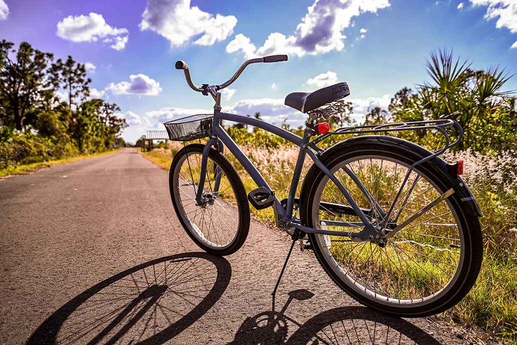 Gray bicycle with basket parked on a sunlit paved trail surrounded by grass and trees under a bright blue sky with scattered clouds.