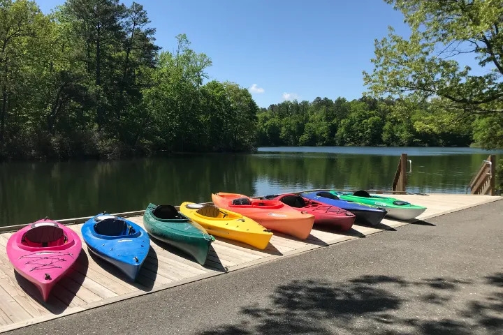 Colorful kayaks lined up on a wooden dock beside a calm lake surrounded by green trees under a clear blue sky.