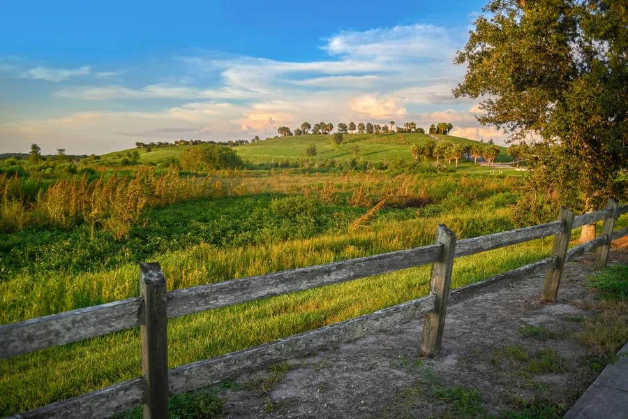 Wooden fence along a dirt path next to green grassy fields and a hill with scattered trees under a partly cloudy blue sky.