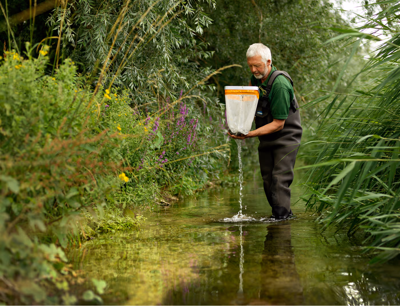 Man standing in shallow river water surrounded by green plants, holding a white insect net with water flowing out.
