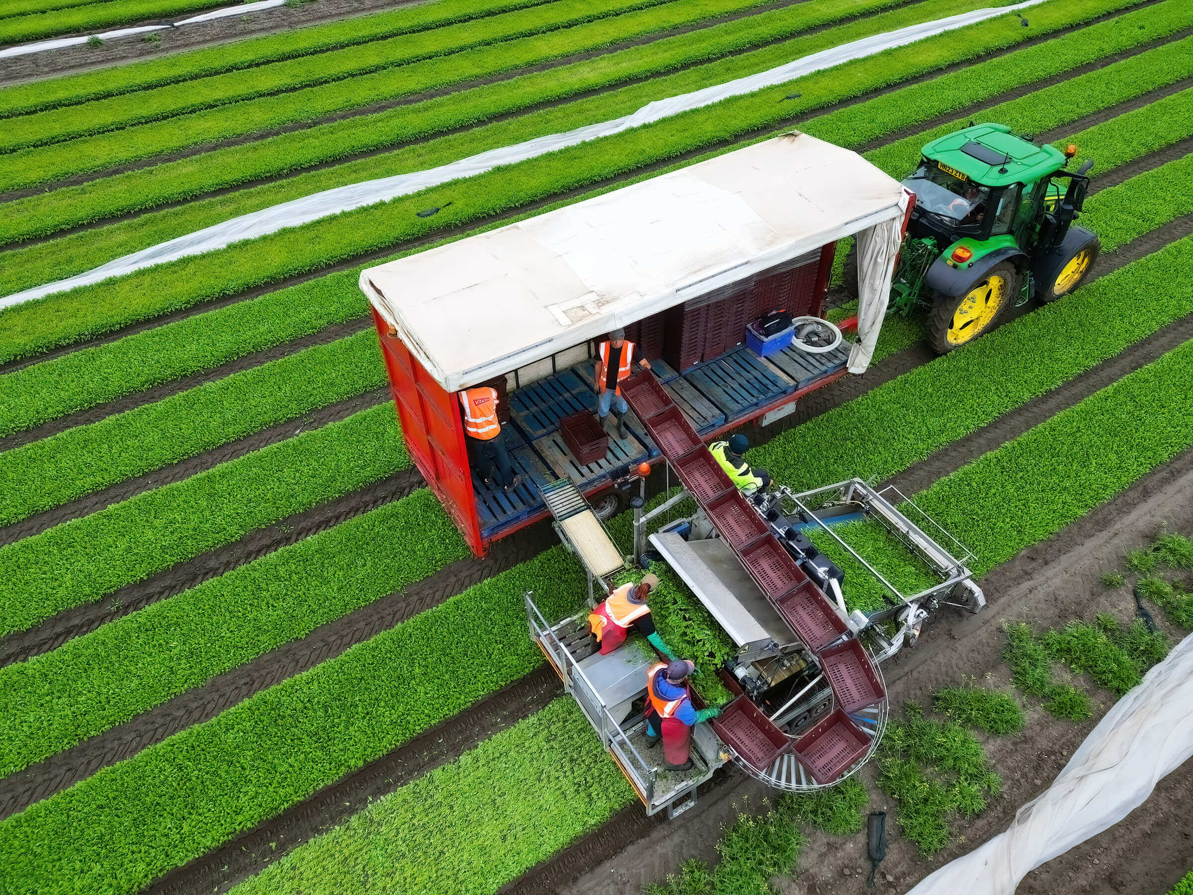 Drone of harvester in field