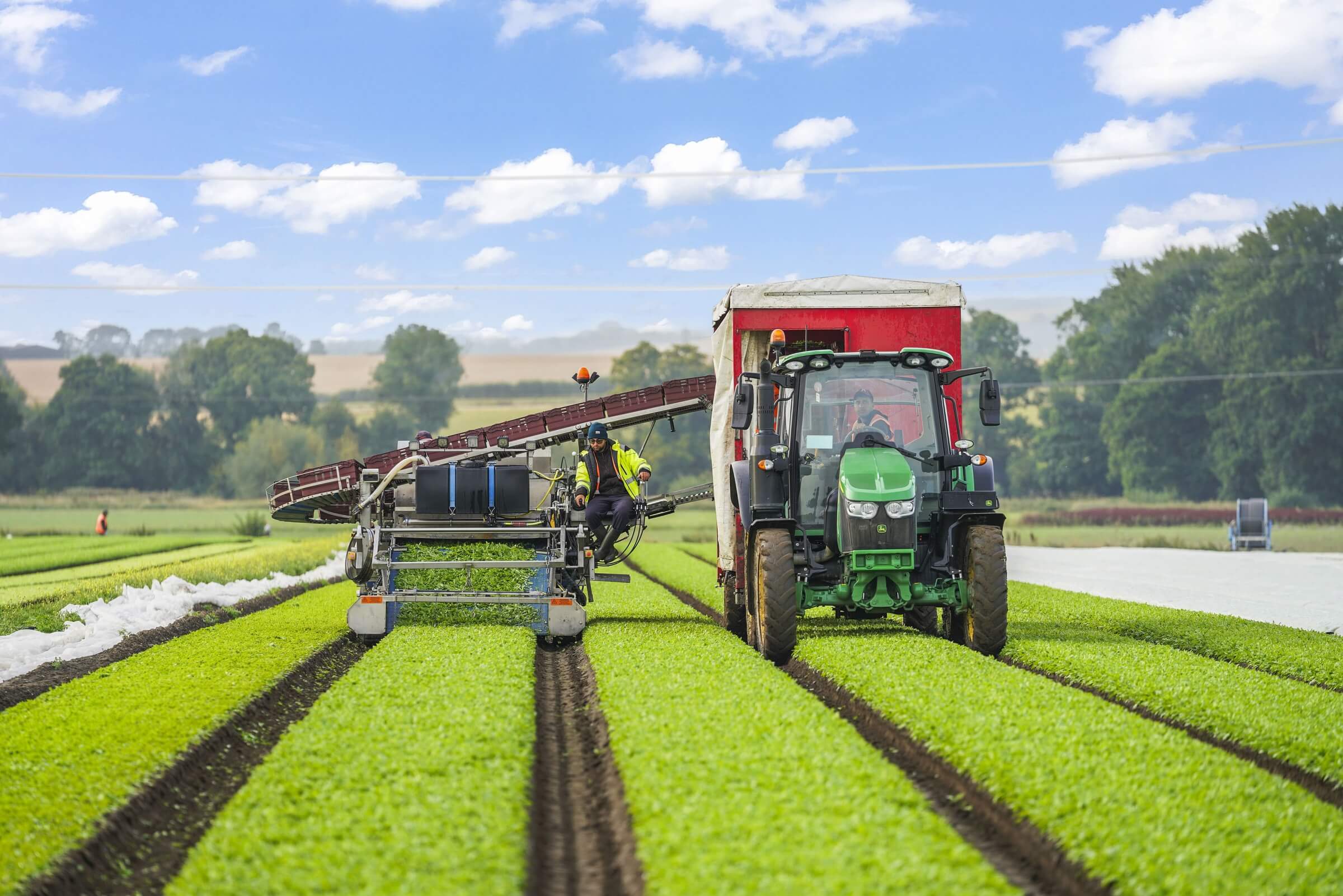 Harvester in field