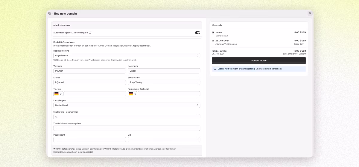 Shopify: Domain-Kauf abschließen