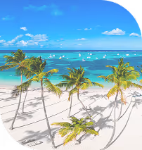 Palm trees casting shadows on white sandy beach with turquoise ocean and boats in the distance.