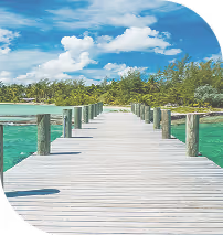 Wooden pier over turquoise water leading to lush green trees under a blue sky with white clouds.