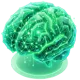 A computer generated image of a green brain.