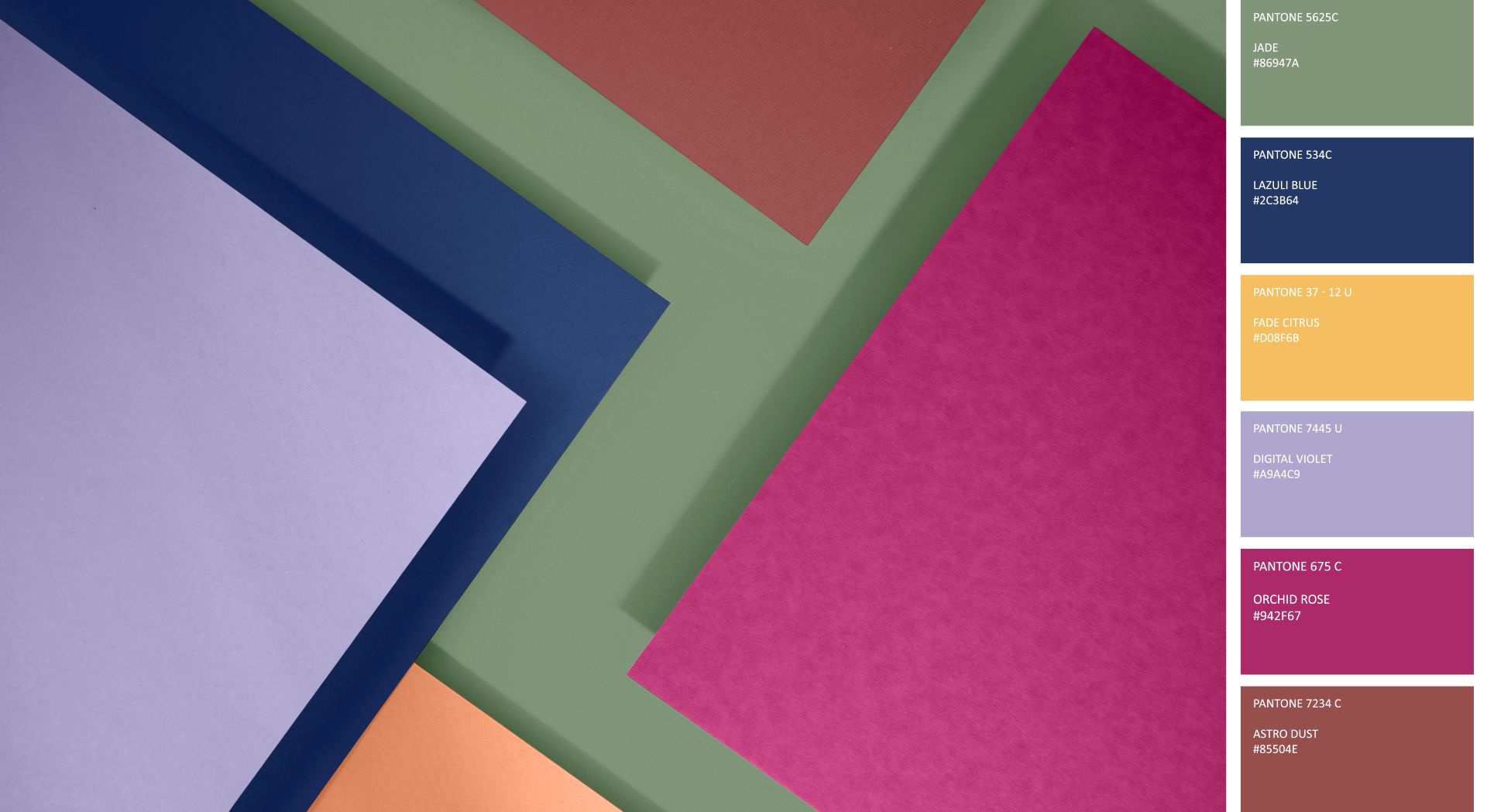 Color Psychology in Branding: What Your Palette Says About You