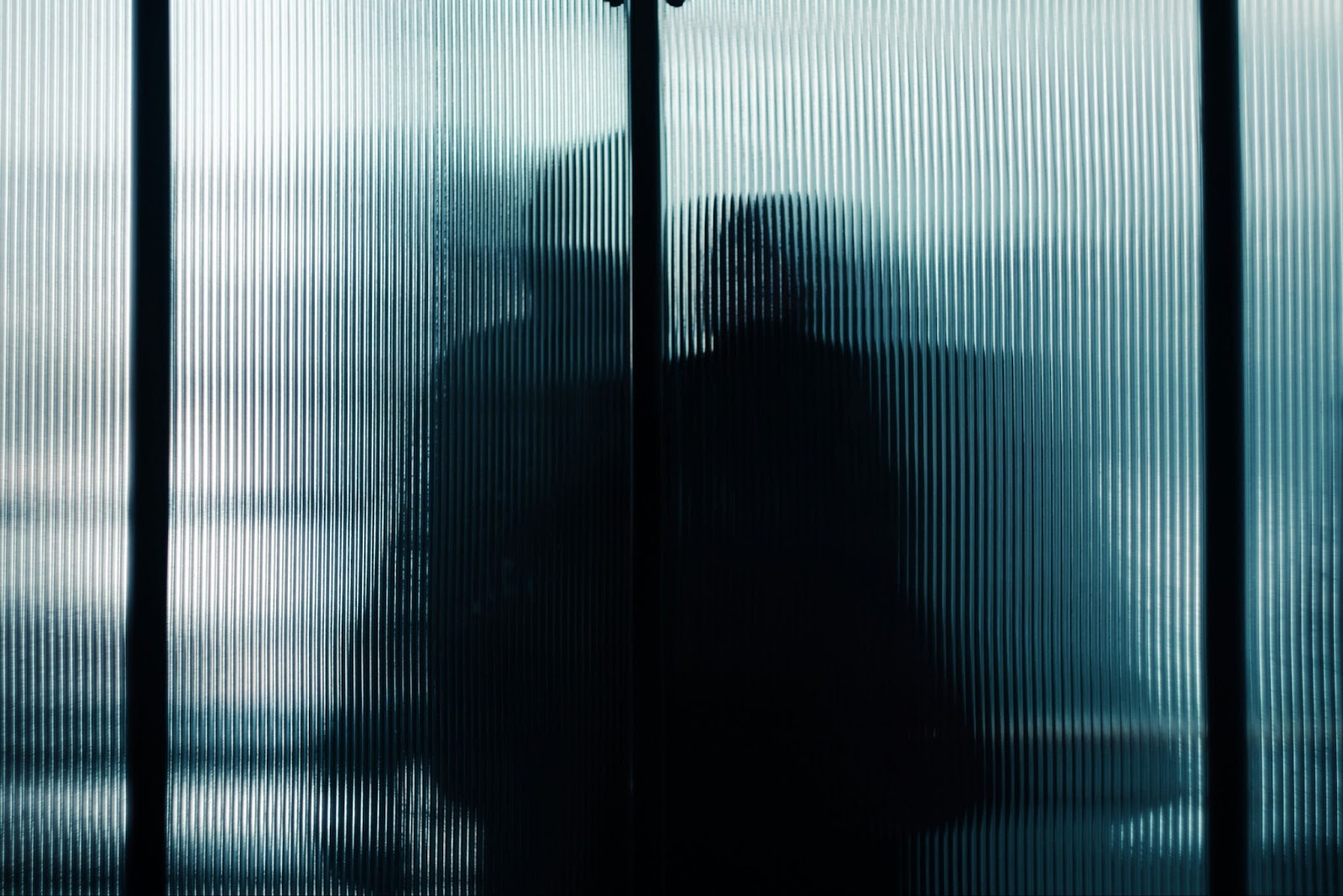 Shadowy silhouettes of two people behind textured glass panels creating a blurred effect.