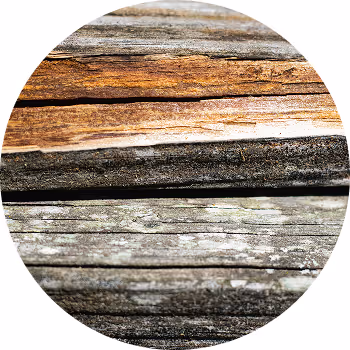 Close-up of dark brown wood mulch chips covering the ground.