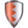 Shield Icon