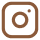 Instagram Logo Icon
