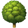 Tree icon