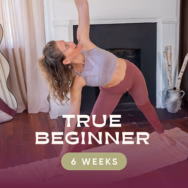 TRUE BEGINNER program cover