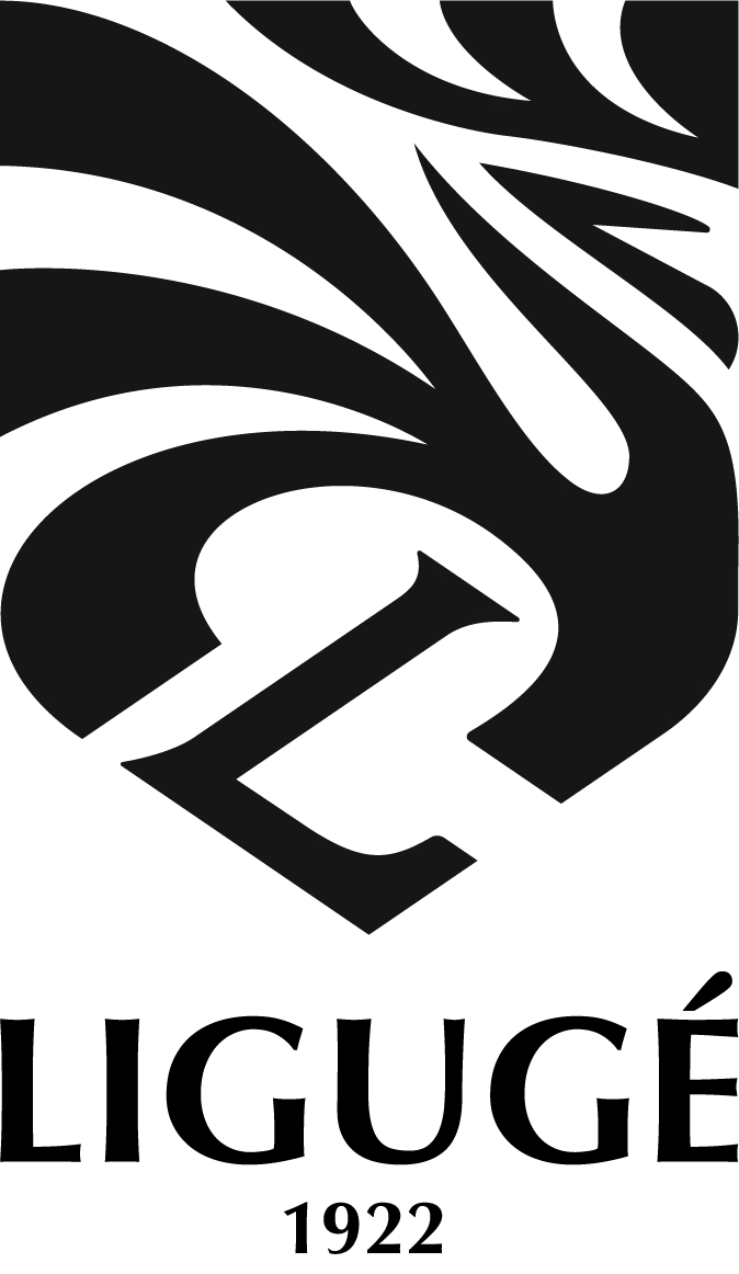 Blason du logo du club de foot de la Ligugenne