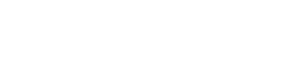 TORVIT