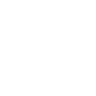 Play Icon