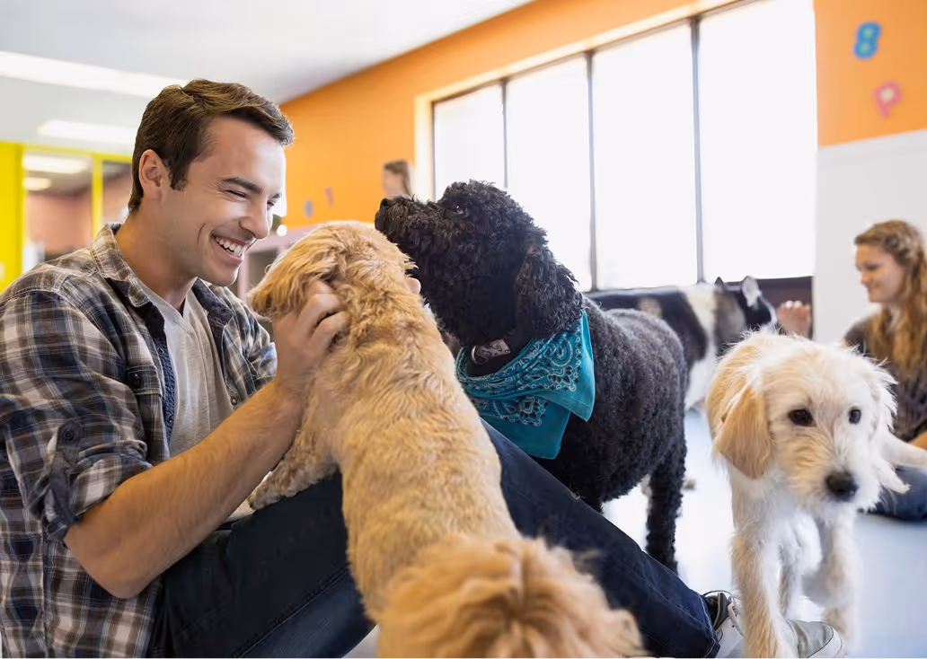 Smiling man sitting on the floor petting a small light brown dog with two other dogs and a woman in the background in a bright room.