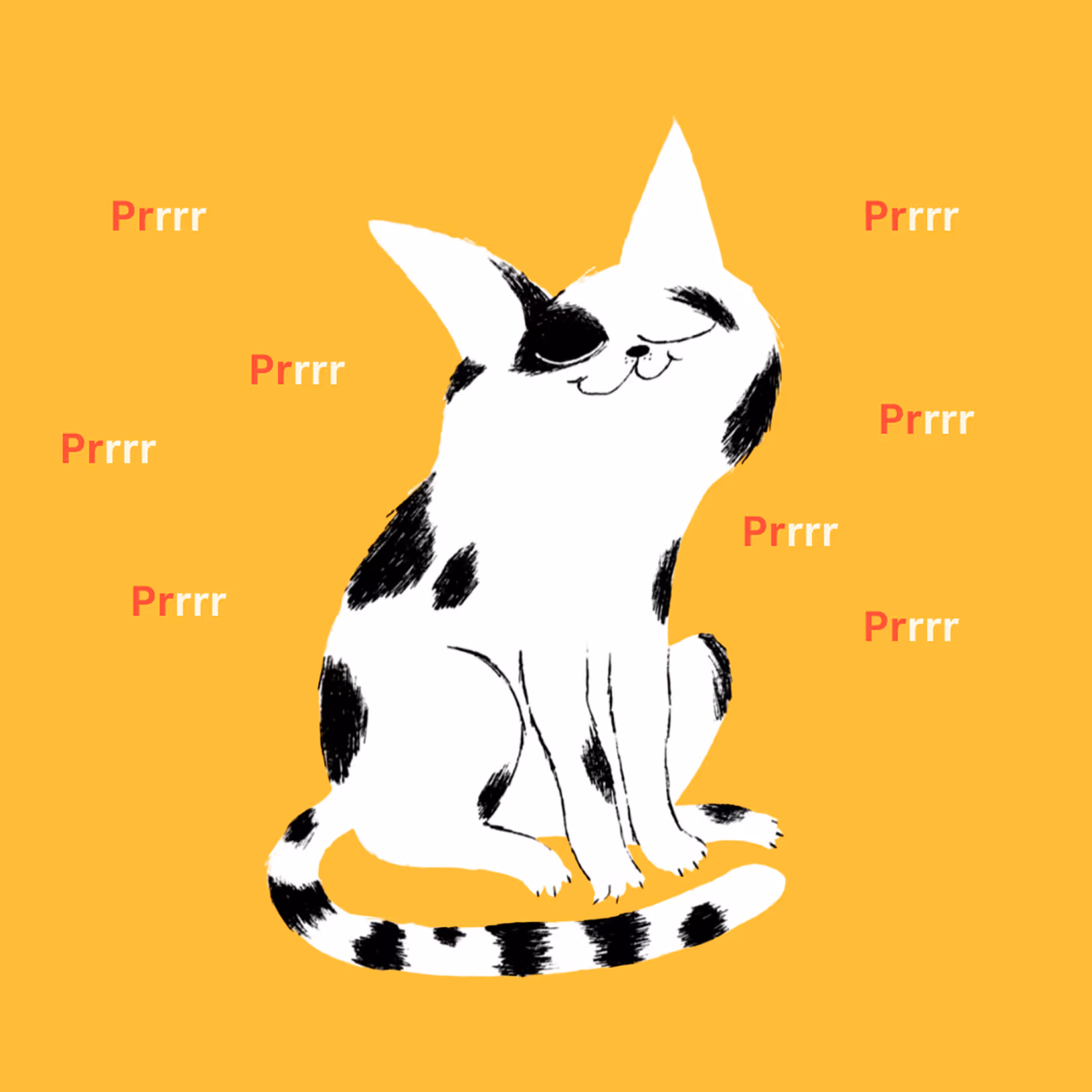 Illustration of a smiling white cat with black spots and purring sounds on an orange background.