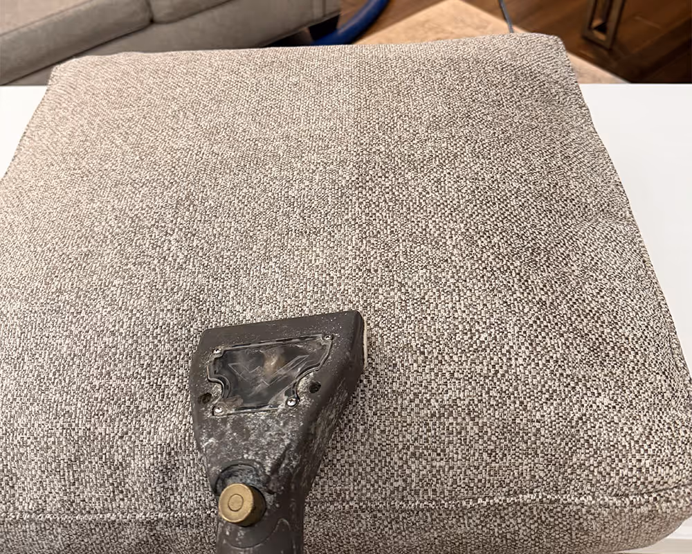 A Remmington Carpet & Tile Cleaning technician providing upholstery cleaning of a sofa cushion in Bradenton, FL, ensuring a top-notch service.