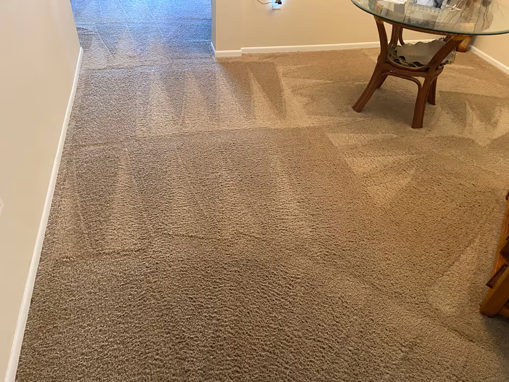 Clean lines after a professional residential carpet cleaning in Bradenton, FL.