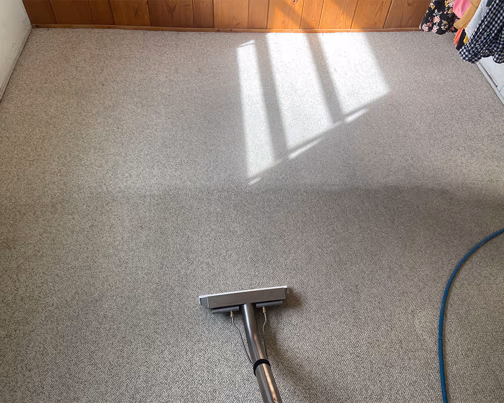 Steam carpet cleaning is in progress in a Bradenton home.