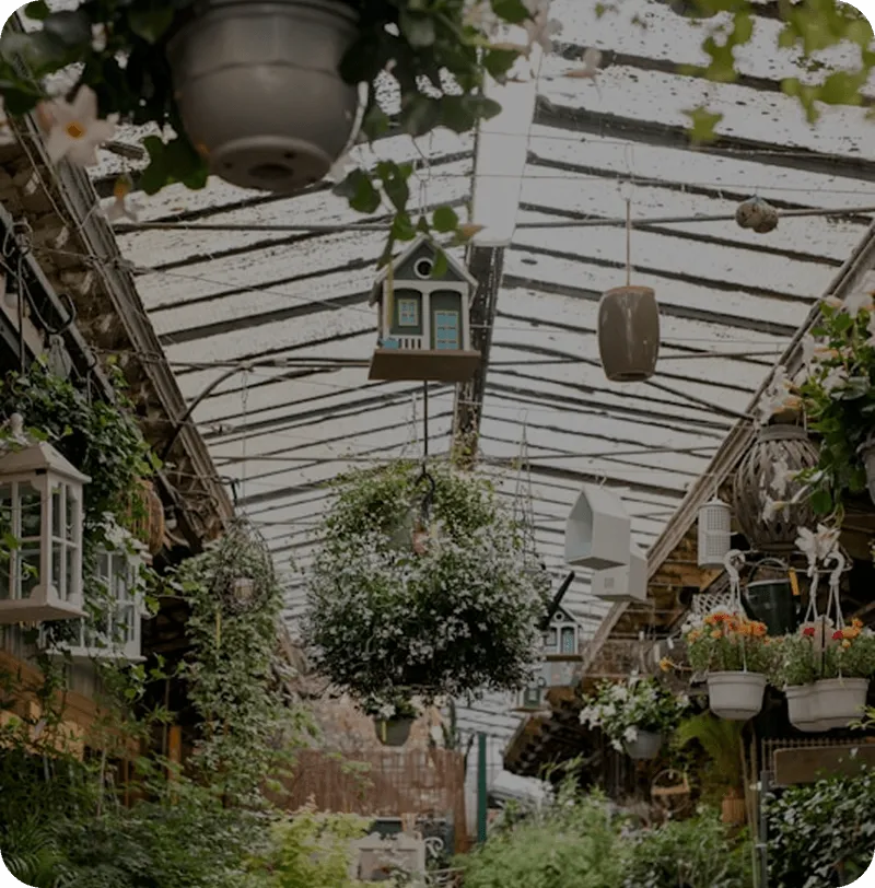 Greenhouse interior with hanging plants, birdhouses, and various potted flowers under a glass roof.