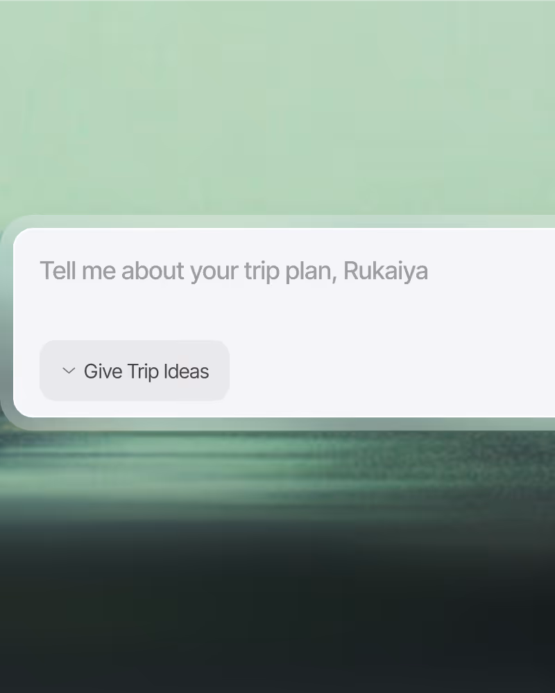 User interface prompt saying 'Tell me about your trip plan, Rukaiya' with a button labeled 'Give Trip Ideas'.