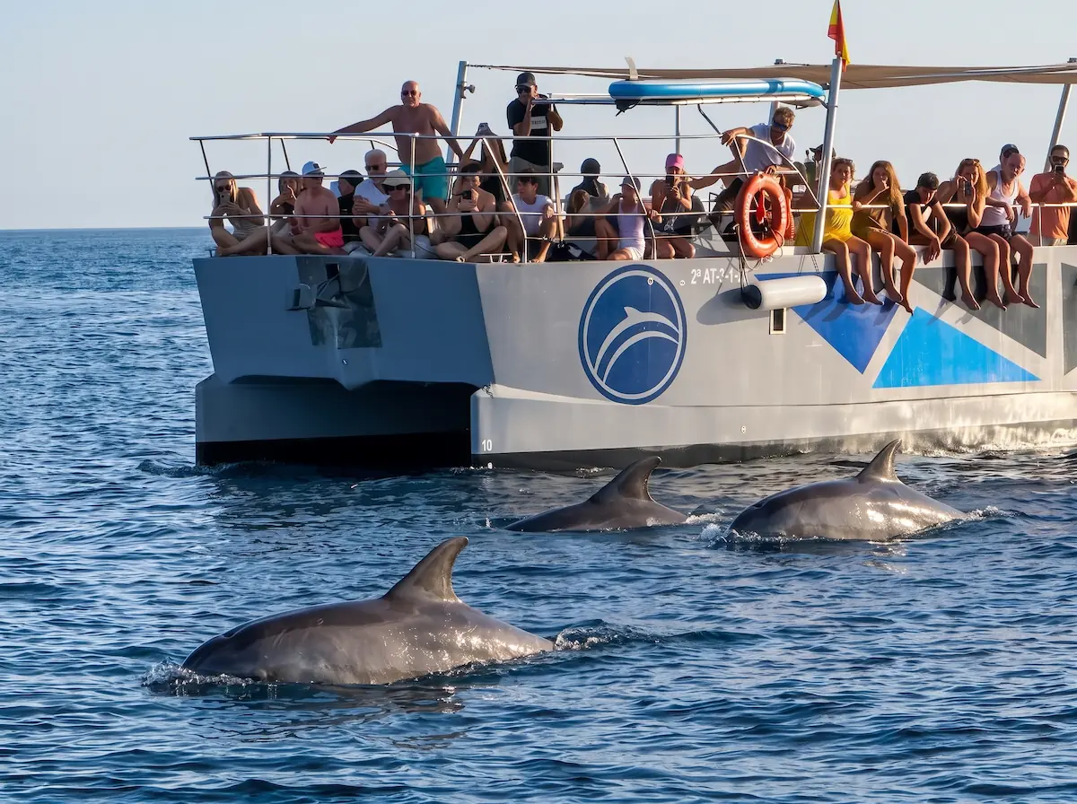 Catamarán en medio del mar con gente en la cubierta