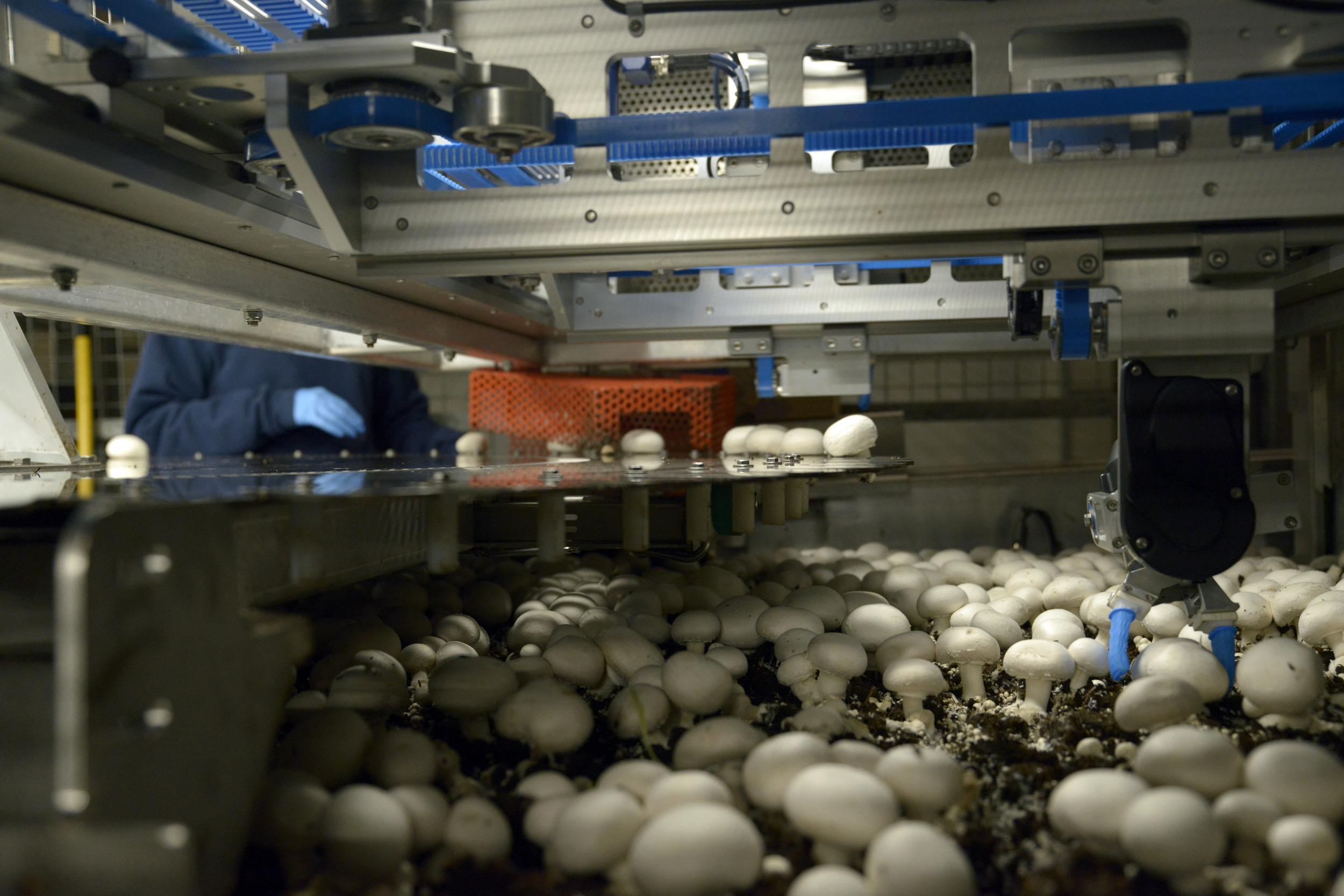Side view of a drawer growing system with a Mycionics unit on the stack
